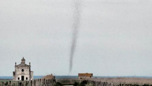 sixpenceee:Mosquito Tornado: Photographer Ana Filipa Scarpa noticed this phenomenon while visiting V