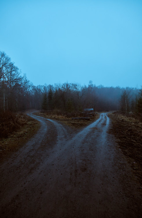 requiem-on-water:Crossroads by  WiRe Photography