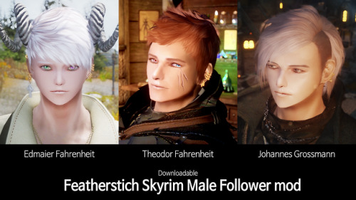 Featherstich Skyrim Male Follower ModEdmaier Fahrenheit - https://drive.google.com/open?id=14xIMV2uU