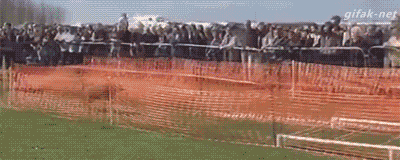 finofilipino:    Que le jodan a la gravedad.   By internezz. 
