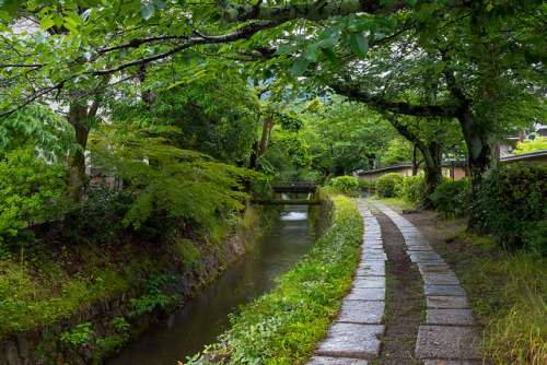 yuikki:哲学の道 ／ Tetsugaku no Michi Street by Active-U on Flickr.