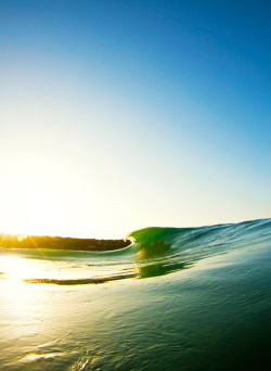 surf4living:  ph: carlos santana