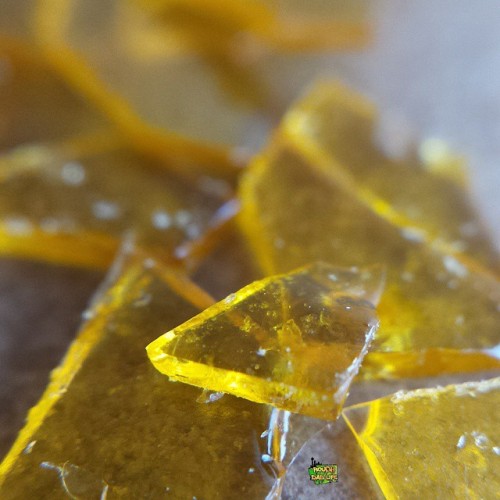 Sex weedporndaily:  Does your shatter even matter? pictures