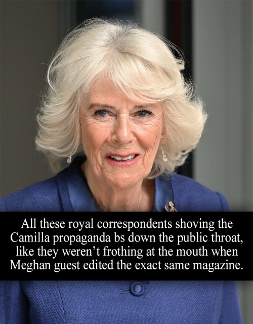 “All these royal correspondents shoving the Camilla propaganda bs down the public throat, like they 