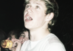   niall partying     
