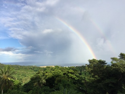 What a lovely thing to wake up to on my last full day on the island.