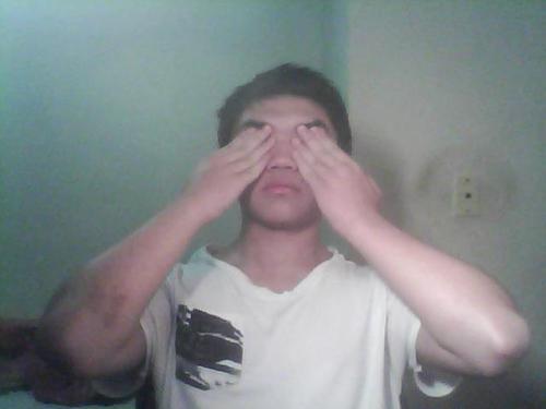 wavey:  gookgod:  http://leslievarmark.tumblr.com/FAQ   oh my god     i thought the