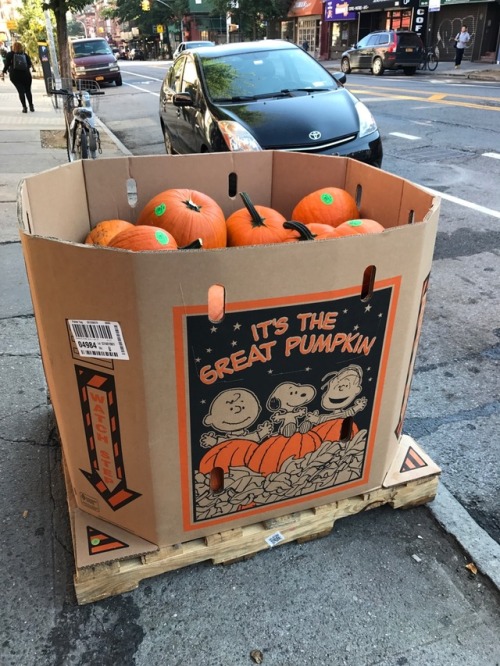 Look who sold out to Big Pumpkin.