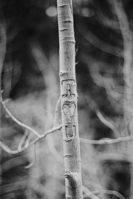 torturin:  Après la pluie, le beau temps (B&W blog).  