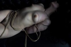 japanesebdsmofficial:Shibari&Photo Norio