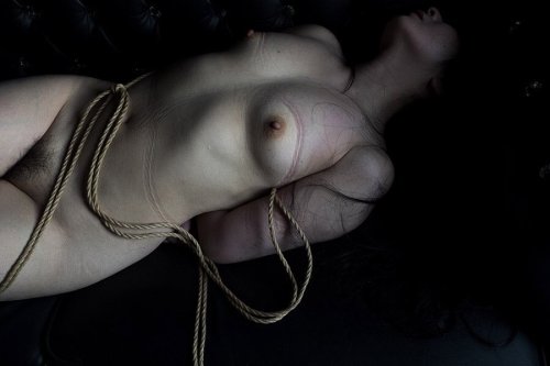 japanesebdsmofficial:Shibari&Photo Norio porn pictures