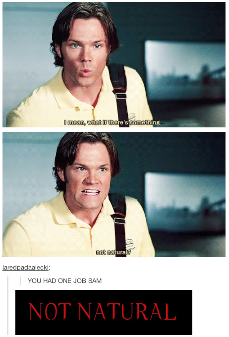 frecklesrex:  6/? Favourite Supernatural Tumblr Posts 