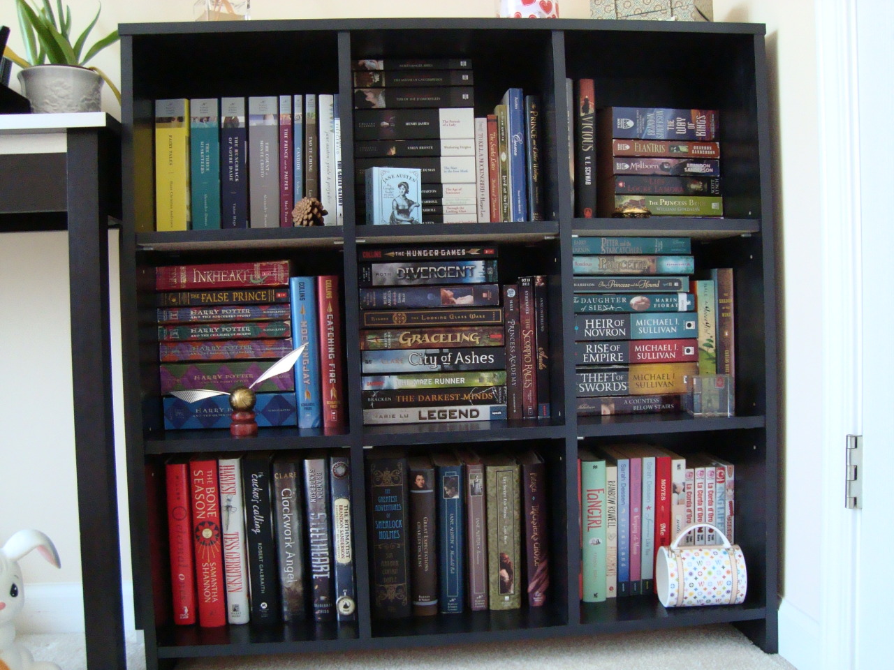 einsodair:  Evolution of the Bookshelves: Past to Present 