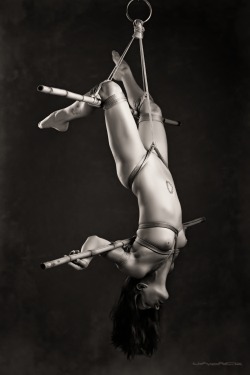 eroticwitch:  SHIBARI SUSPENSION. 