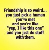 Funny quotes about friendship