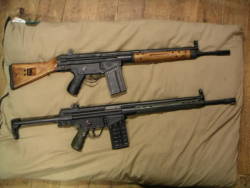 hoppes9:  Two PTR-91 rifles. One with a wooden stock and one with a  collapsible stock.