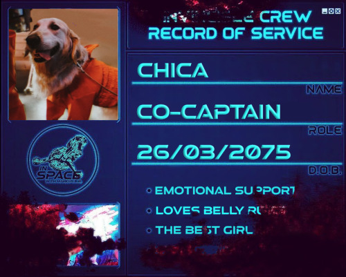  made a dossier for chica because she deserves the world <3  (also it’s possible that @mark