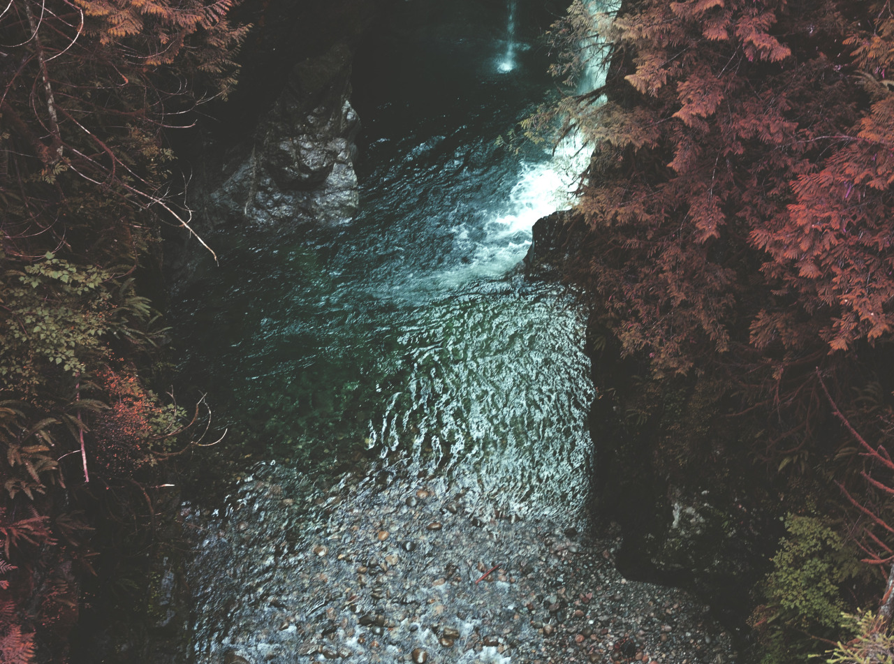 teapalm:  (Tasha Marie) | Lynn Canyon 