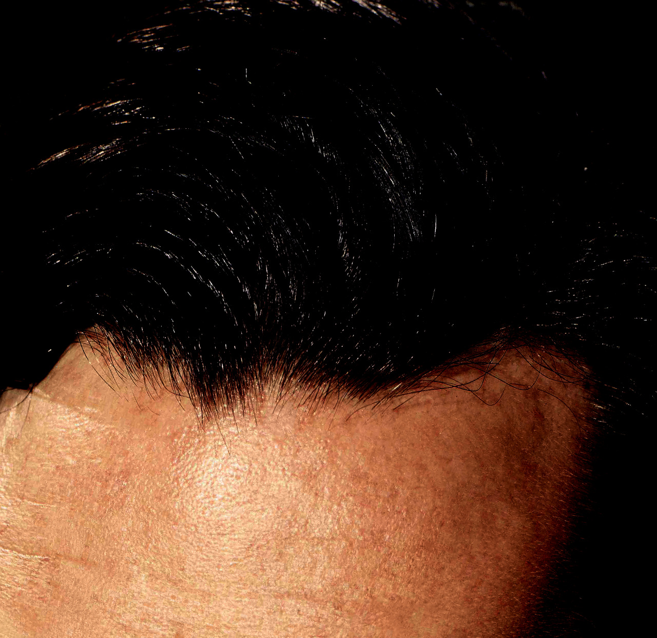 benedictcumberbatchsgirlfriend:  whykhan:  nixxie-fic:  New Edit - Benedict Cumberbatch