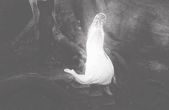 ohnymeria:LOTR ALPHABET » F is for Feminism. “War is the province of men, Èowyn.”