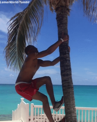 lamarworld:  (Pt.3) GIFS of Jessie T Usher booty