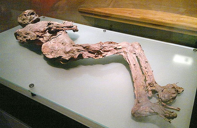irisharchaeology:  Gallagh Man, a bog body from Co. Galway  In 1821 members of