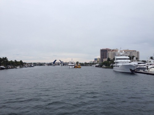 Boat tour in the rain.