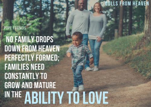 &ldquo;No family drops down from heaven perfectly formed; families need constantly to grow and m