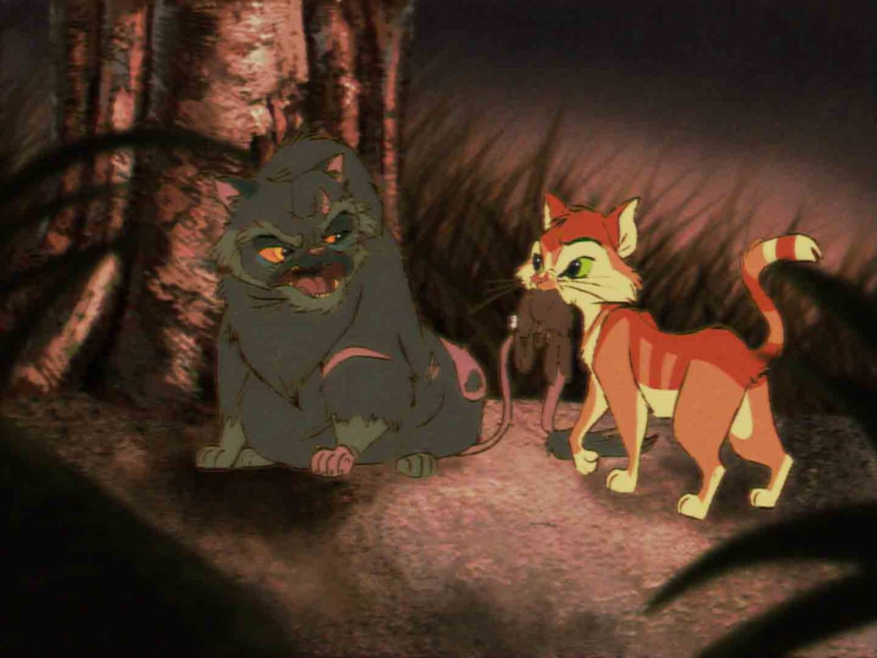 Warrior Cats Into The Wild / Recap - TV Tropes