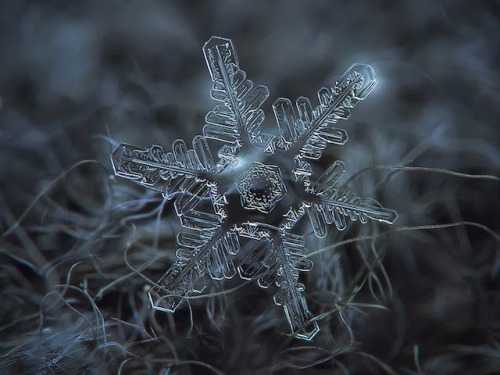  Micro-photography of individual snowflakes porn pictures