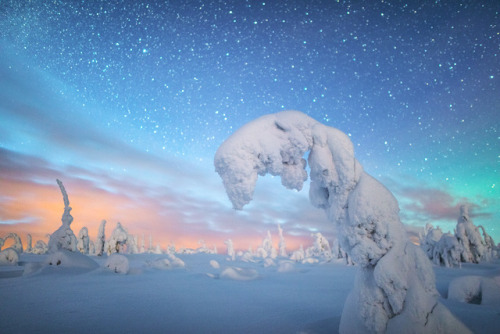 tiinatormanenphotography: Winter magic.  Lapland, Finland. by Tiina Törmänen | web | 