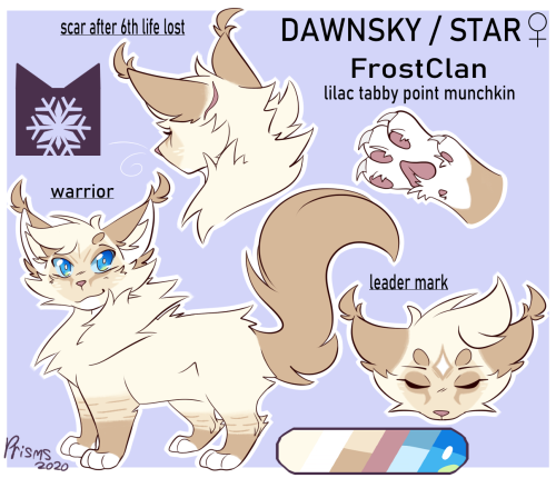 dawn was in need of a true and proper refsheet so here she is for 2020