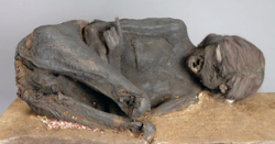 sixpenceee:  A CT scan of a mummy of a woman in the collection at the Bavarian State Archaeological Collection shows that she had been killed by blunt-force trauma to the head. “She must have received a couple of really severe hits by a sharp object