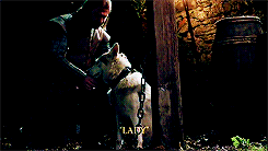 lilyaldrinn-deactivated20141221:  In Memorian (x) 