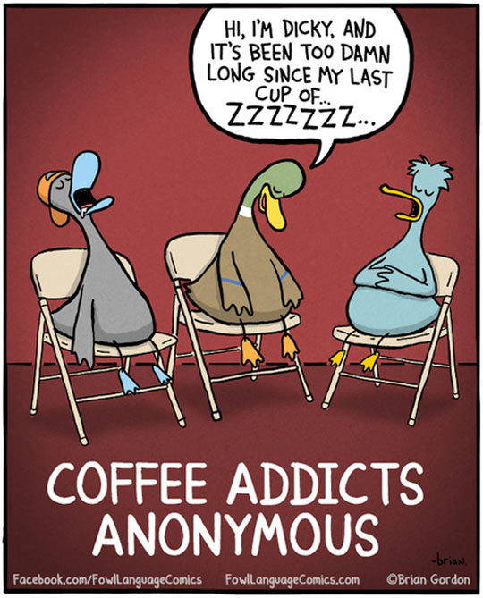 Your Coffee Guru