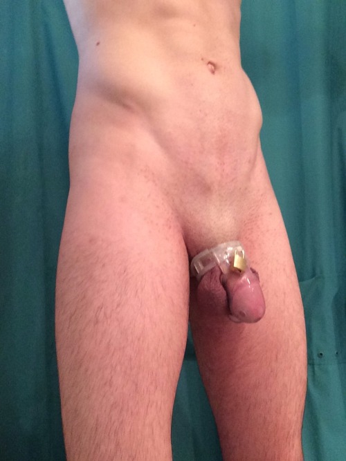 ohmurrr:  Got a Bon4 Plus chastity device today :) —————————————————— I’m still looking for one of my followers to lock me in a Holy Trainer! Read about that here: http://ohmurrr.tumblr.com/post/88512879084/i-want-to-try-a-holy-trainer-chastity-device