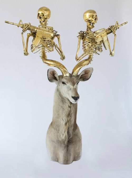 asylum-art-2:   Peter Peter Gronquist’s Taxidermy Gun Antlers  Peter Gronquist makes the  unlikely combination of taxidermy and symbols of power and luxury.  Taking the traditional forms of taxidermy, Peter creates gold and silver  antlers for the stuffed