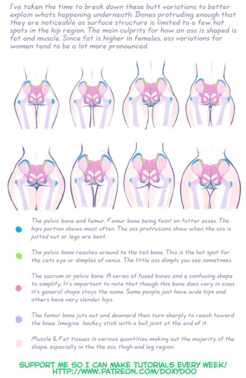 anatoref:  How to Draw a Damn Fine AssTop Image, Row 5 & 6Row 2:  Drawing People by Barbara Bradley  Row 3Row 4Row 5Bottom Image   Been a while since I read how to draw a fine ass.. Might as reblog this for others to see.