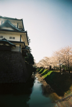 hiromitsu:  untitled by nijntjee on Flickr.