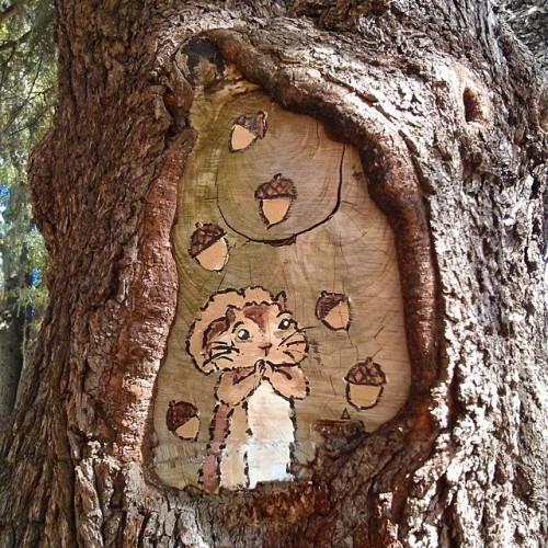 fillintheblake:Squirrel tree painting found on the University of Alabama campus #uofa #universityofa
