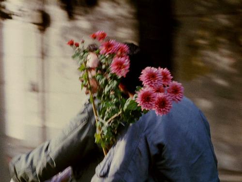 vegieburger:close up by abbas kiarostami 1990