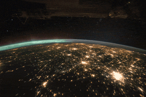 thedragoninmygarage:  “Science reveals that all life on Earth is one.” -Neil