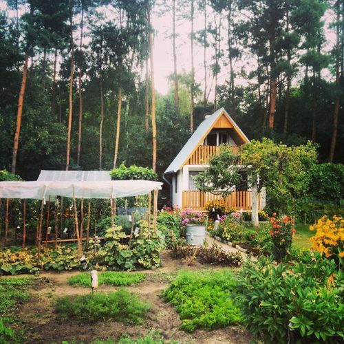 permaculture-prowess:One of the 300+ #communitygarden plots in “Podlesie” #gardens #dzialki #Lezajsk