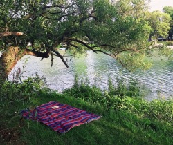 labradoriteslight:  alpenglower:nothing beats finding a good reading spot 🌱📚 um wow this is so beautiful