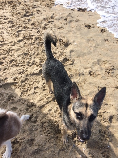 More beach fun!