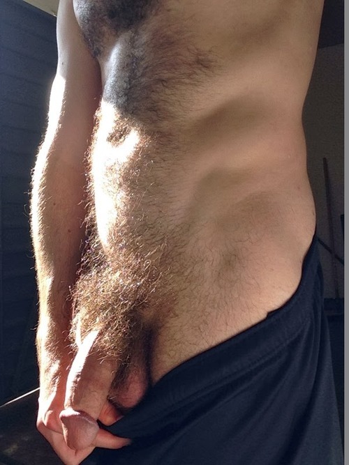 Bears And Fat Uncut Cocks