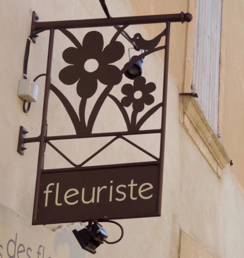 Fleuriste, Bonnieux, Vaucluse, 2016.