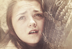 aryastarks:  Winter is coming, warned the Stark words, and truly it had come for