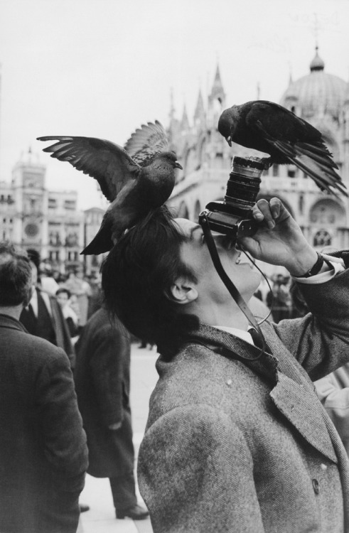 pickandtake: Alain Delon at Piazza di San Marco, Venice by Jack Garofalo 1962