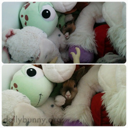 dailybunny:  Bunny Burrows into a Giant Plush PileThanks, Audrey and bunny Petit-Croc! Audrey writes, “The best place to take a nap? With cuddly toy friends of course :) “
